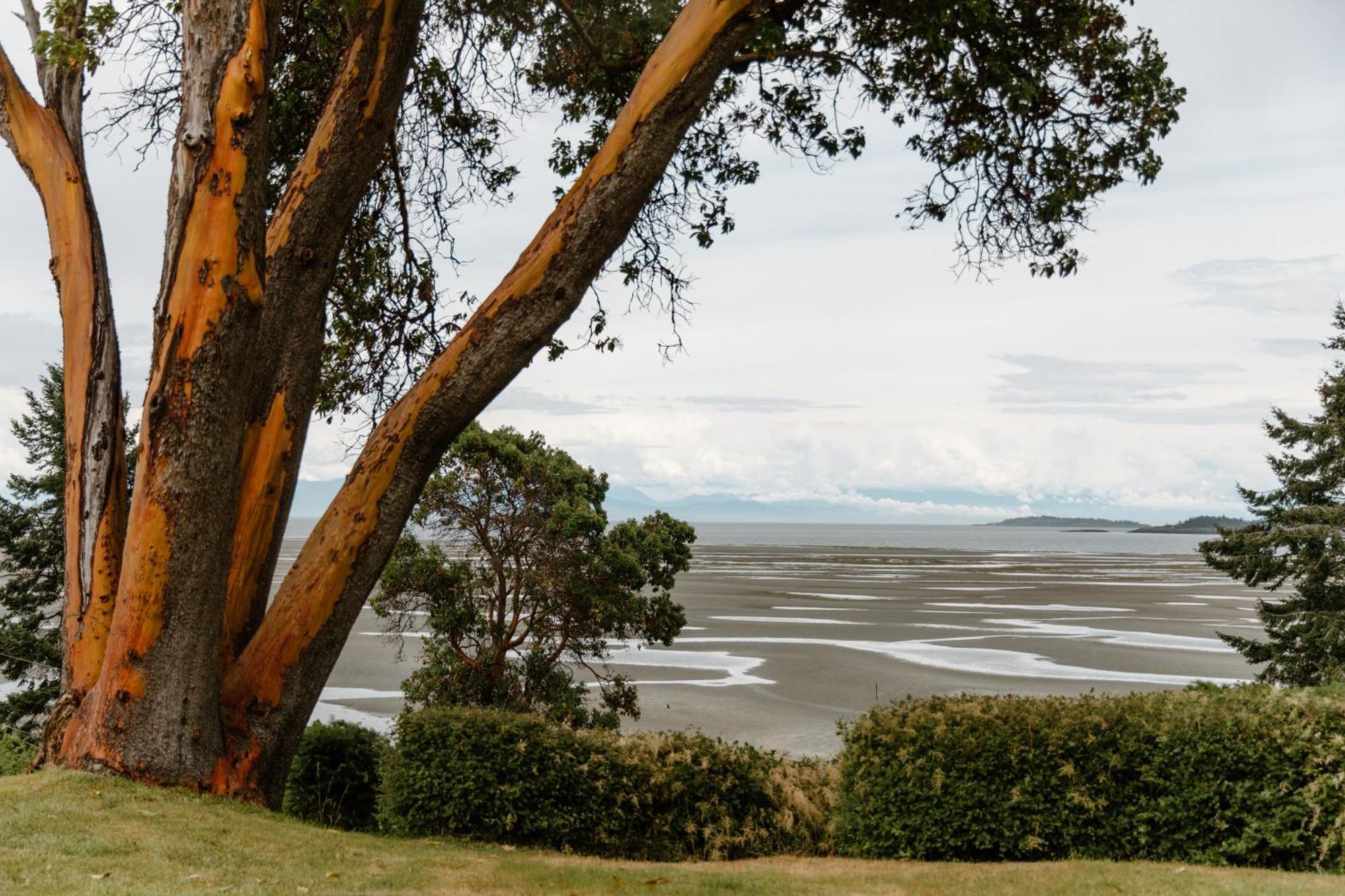 Beach Acres Resort Парксвилл Номер фото